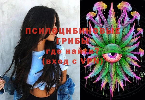 МДПВ Медвежьегорск