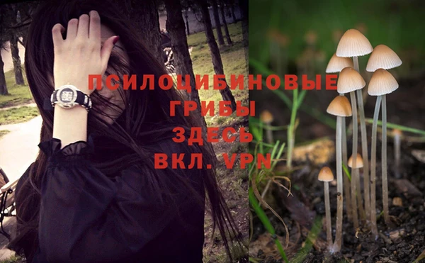 МДПВ Медвежьегорск