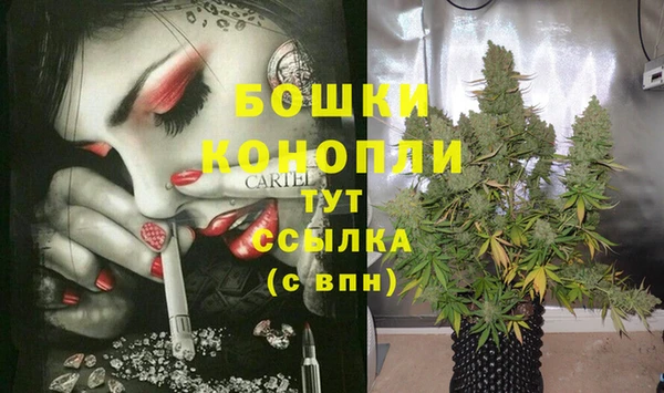 МДПВ Медвежьегорск